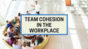 Work Team Cohesion, Competence and Performance